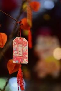 sâm lốc di động Sodo